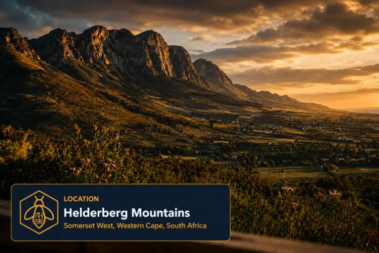 The Helderberg mountain range above Somerset West at sunset, with the valley and the sea beyond